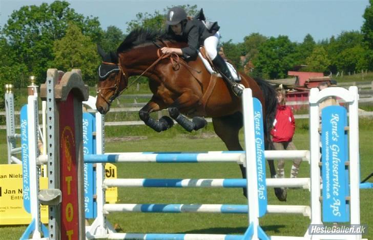 Dansk Varmblod *Hoeck´S Cirkeline* R.I.P :'( - cirkel til stævne på øsr den 13-14 juni =) foto:signe tror jeg billede 8