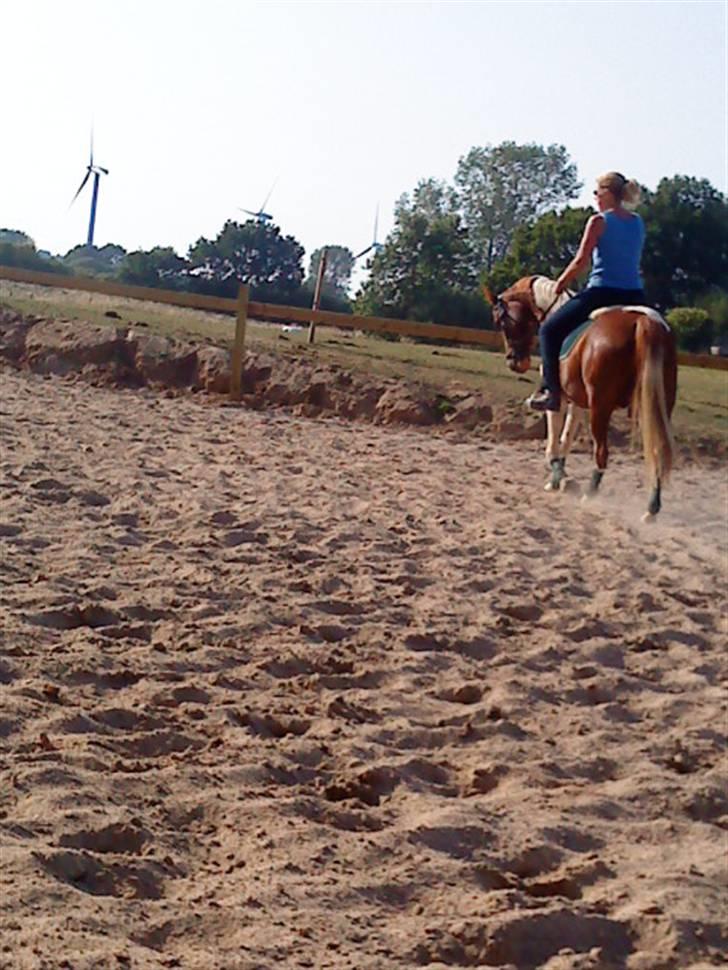 Anden særlig race Quick step<3 - Min ridelærer der lige skulle prøve min pony:) billede 4