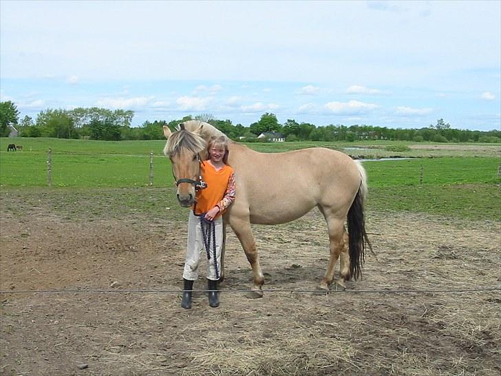 Fjordhest Hesselbjerg's Musse - Første dag jeg havde Musse;D billede 9