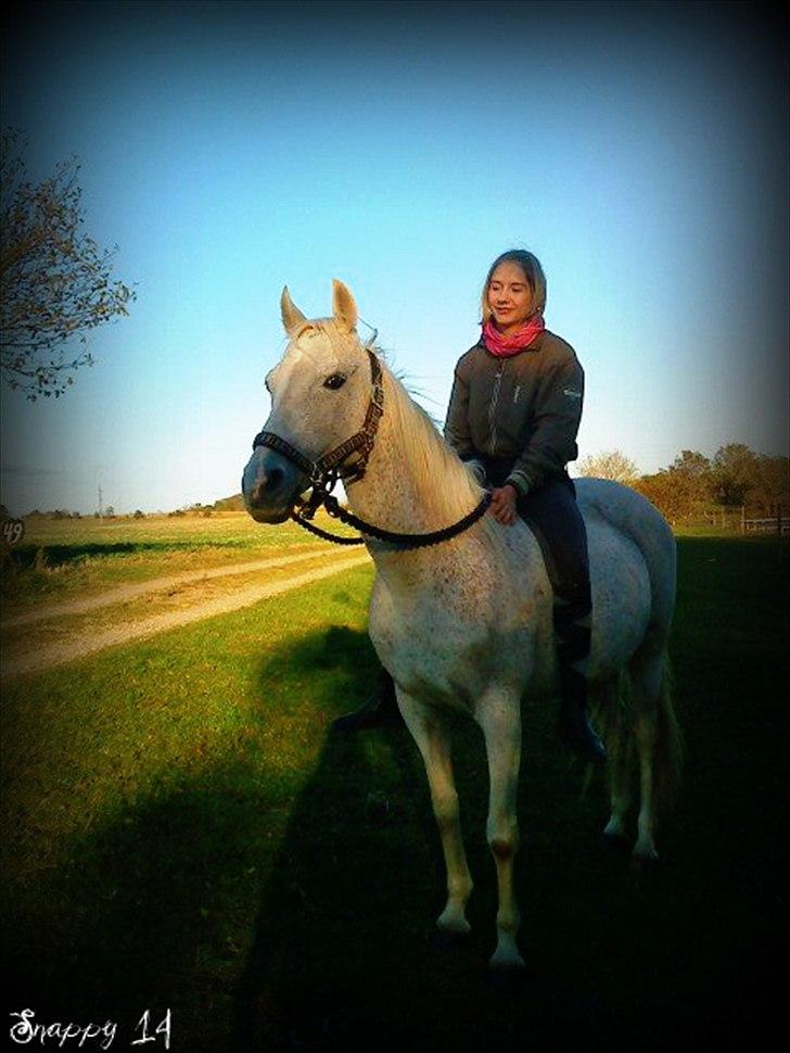 Anden særlig race Snappy .<'3 - Vi skulle bruge de sidste dage på en god dag. ;o) Foto: Pernille TAK! billede 16