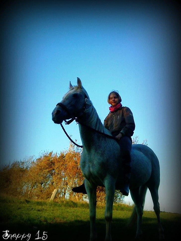 Anden særlig race Snappy .<'3 - Tak fordi du gav mig chancen at kende dig & kæmpe for dig, det var det hele værd! <3 Foto: Pernille TAK! billede 17