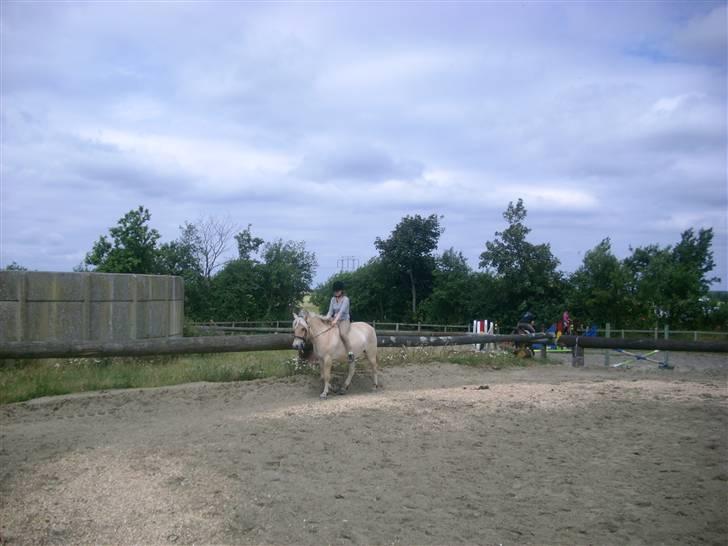 Fjordhest Calle - Første gang jeg rider Calle :D 12. juli 09 billede 4
