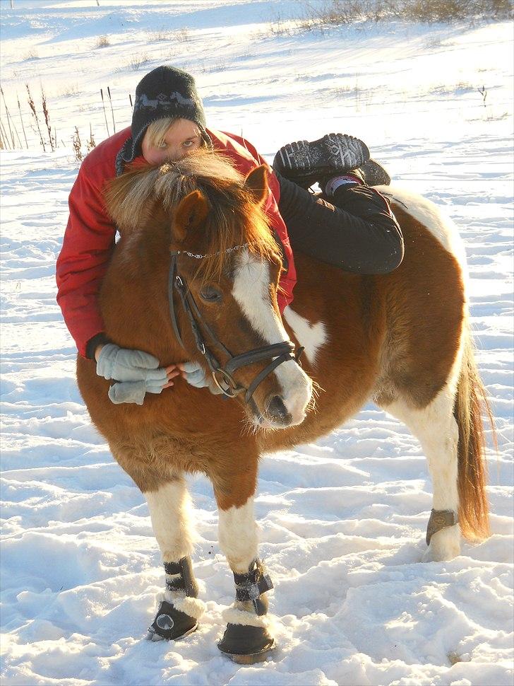 Pinto sweety MINBEDSTEVEN - 1.    Fordi jeg stoler 100% på ham;*<3 billede 1