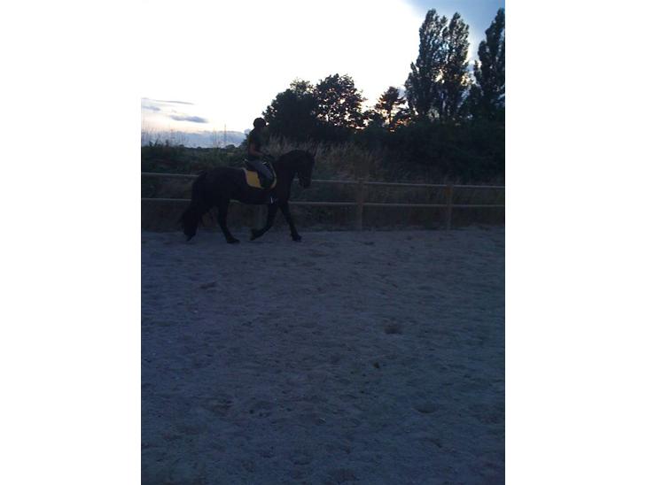 {{currentPhoto.altText}} billede {{currentPhoto.number}}