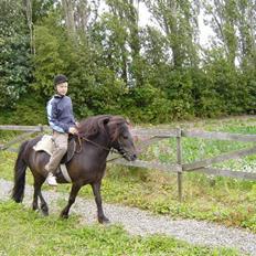 Anden særlig race samson