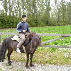 Anden særlig race samson