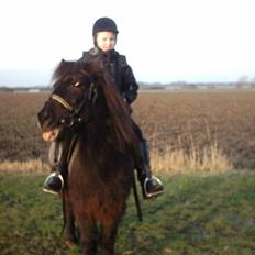 Anden særlig race samson