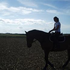 Anden særlig race shakespeare-sendt tilbage