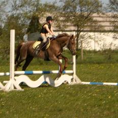 Connemara Nelly (sendt tilbage) 