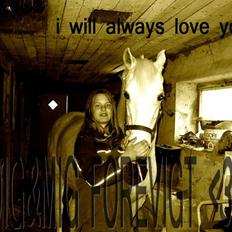 Anden særlig race Daisy