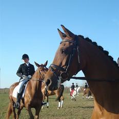 Anden særlig race Kathy<333