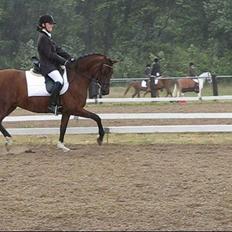 Anden særlig race Kathy<333