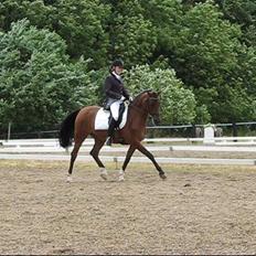 Anden særlig race Kathy<333