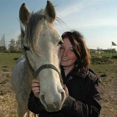 Arabisk fuldblod (OX) Bleas