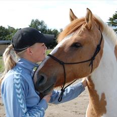 Anden særlig race Felix 