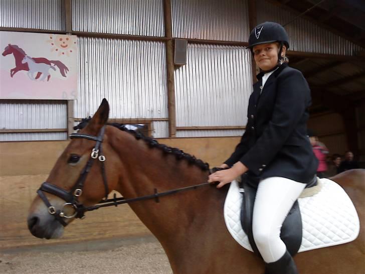 Dansk Varmblod Pyrussander Elevhest - vores første stævne sammen xD (skal iøvrigt også d. 10 april) billede 3