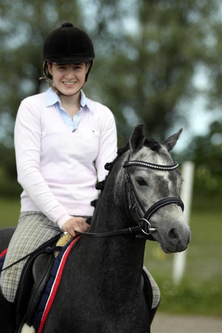 Welsh Pony (sec B) Clausholm Lord Joker - Clausholm Lord Joker i ridning ved Stald Donago (fotos: Leena Kahisaari) billede 5