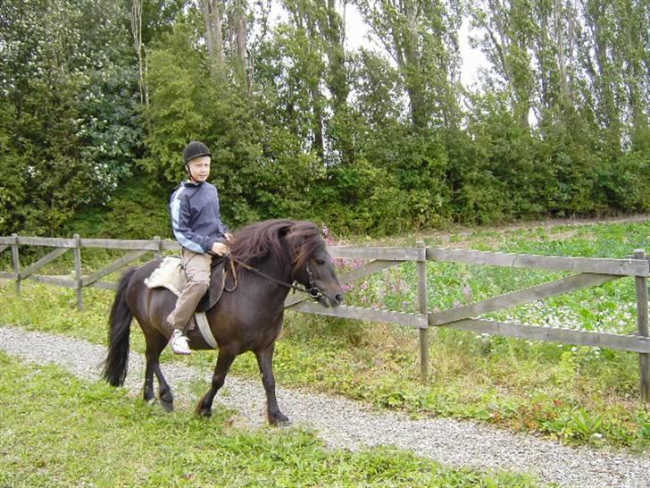 Anden særlig race samson billede 1