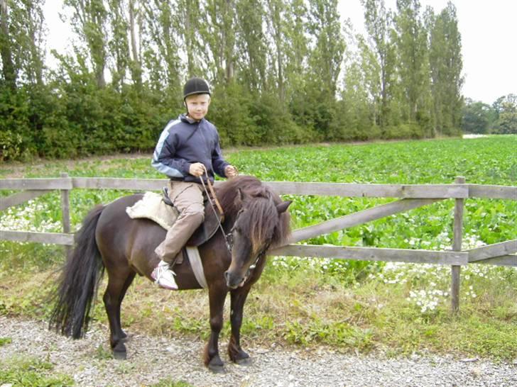Anden særlig race samson billede 2