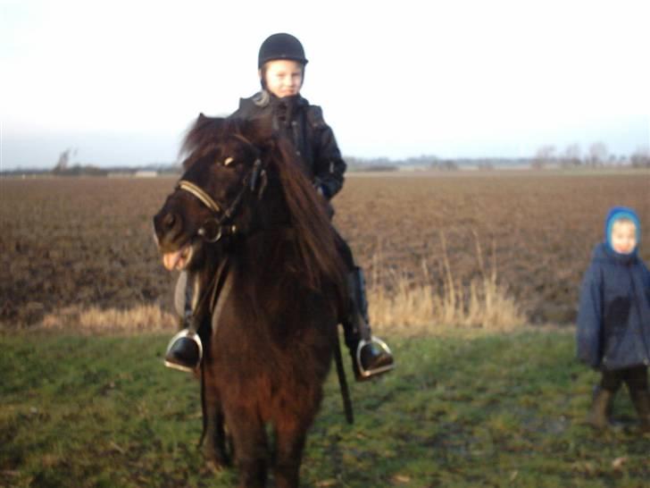 Anden særlig race samson billede 3