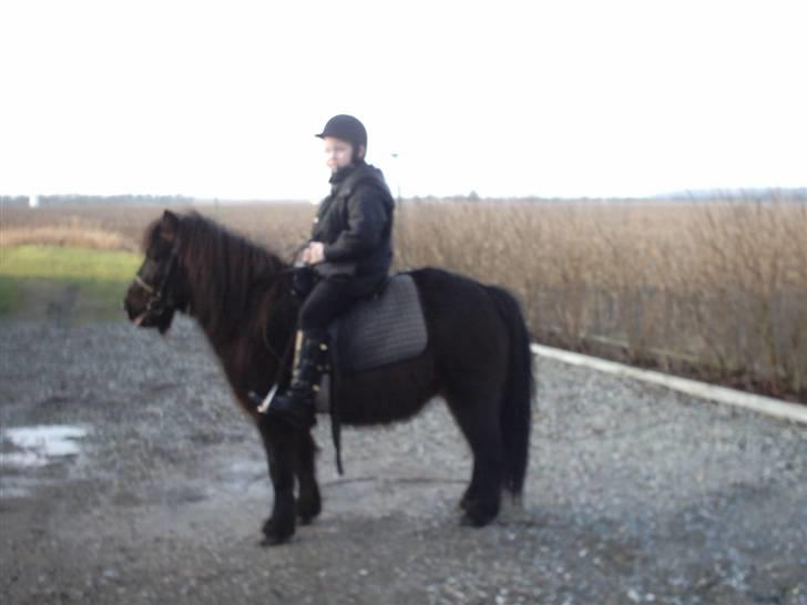 Anden særlig race samson billede 4