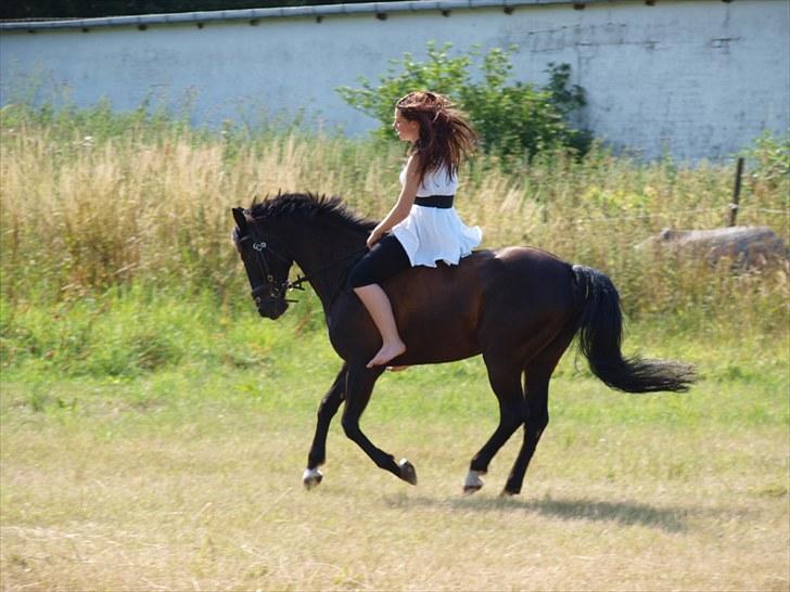 Anden særlig race Oberst R.I.P  - Var på Møn i sommerhus og havde Oberst med :)  billede 3