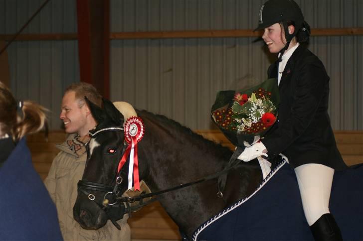 Anden særlig race Oberst R.I.P  - Blev klubmester 2010 i dressur. billede 4