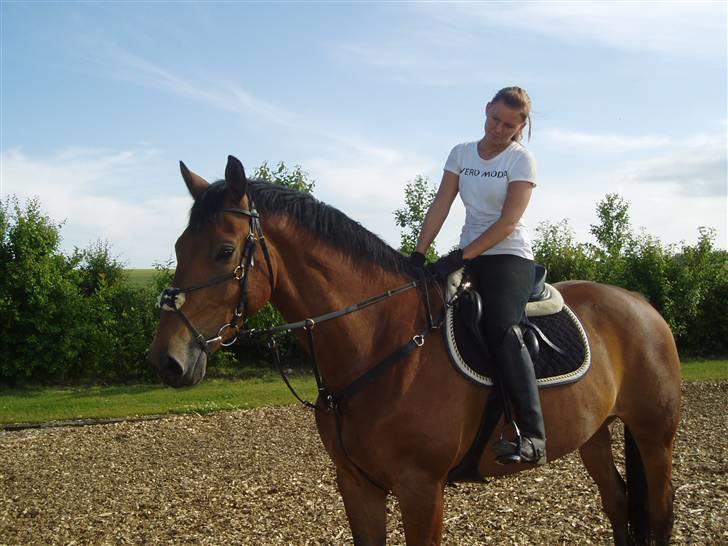 Anden særlig race shakespeare-sendt tilbage billede 1