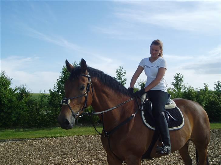 Anden særlig race shakespeare-sendt tilbage billede 2