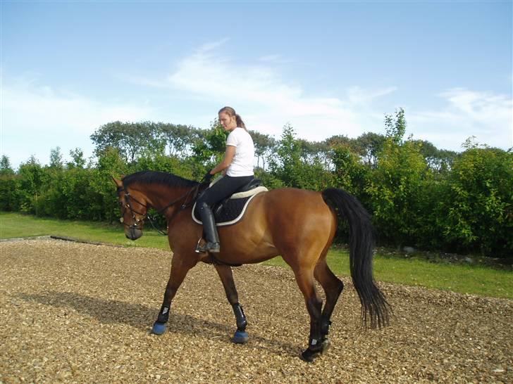 Anden særlig race shakespeare-sendt tilbage billede 4