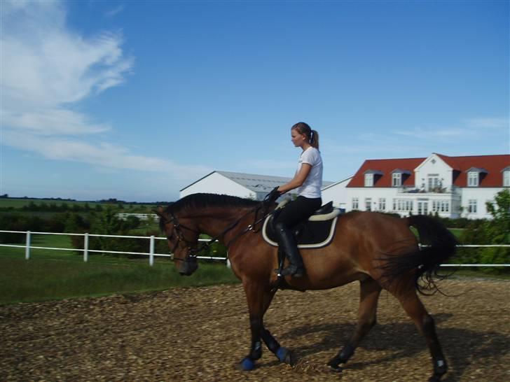 Anden særlig race shakespeare-sendt tilbage billede 5