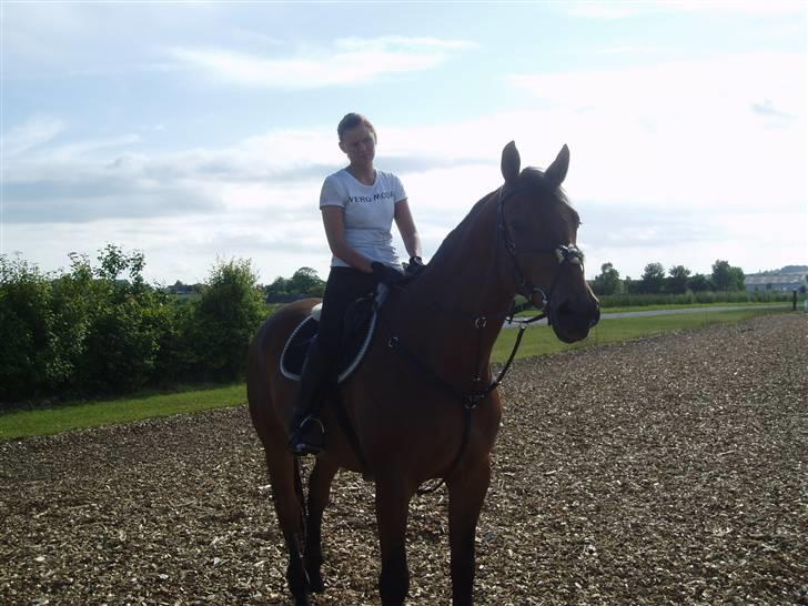 Anden særlig race shakespeare-sendt tilbage billede 6