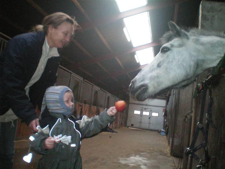 Anden særlig race PRIK. - Gi mig, gi mig, gi mig :D - ooog ja tak!  billede 17