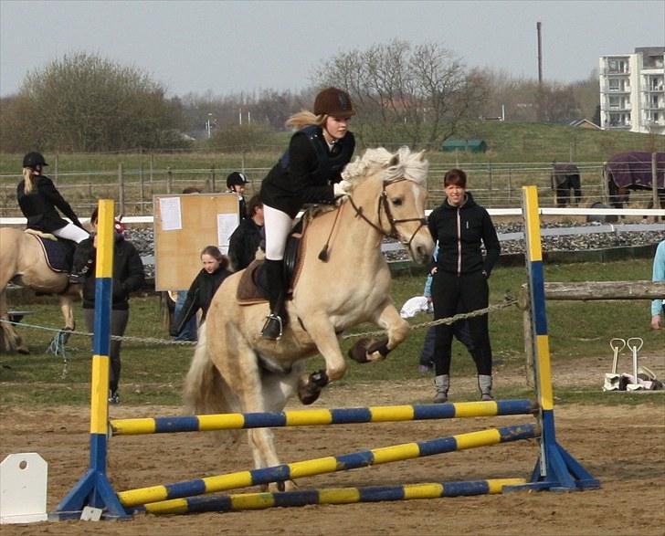 Anden særlig race Coka - GAMMEL PART - til kærbo stævnet (:  billede 13
