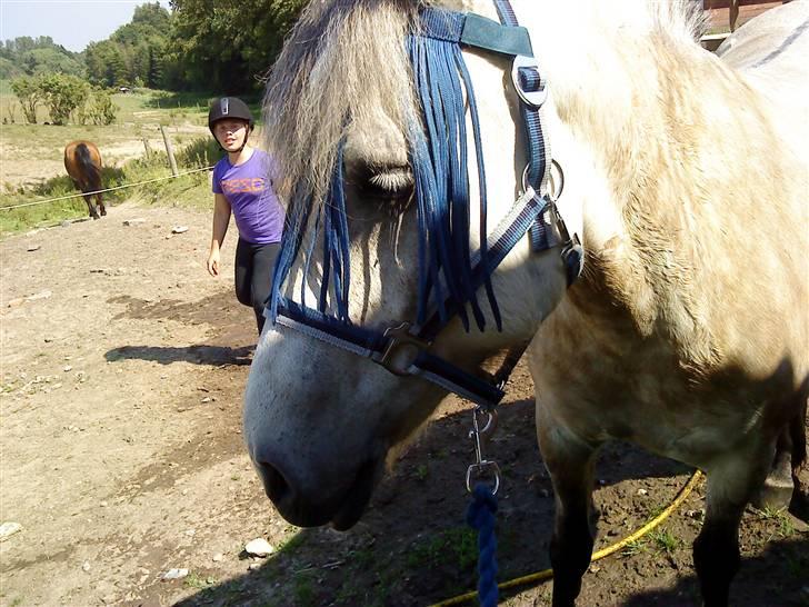 Anden særlig race bill gamel halvpart :'( billede 17