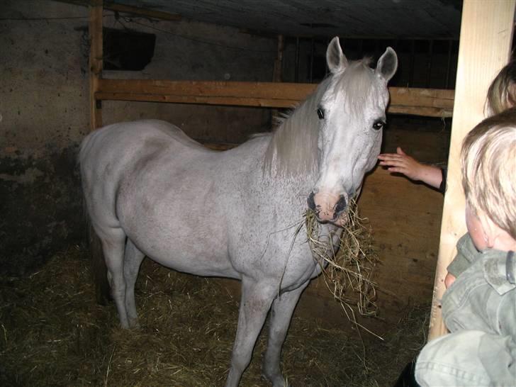 Anden særlig race Daisy - iloveyou baby! <3´ billede 1