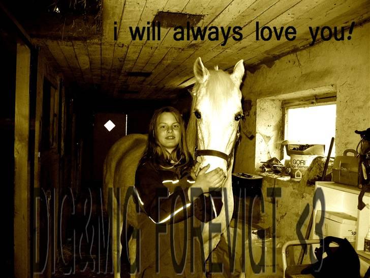 Anden særlig race Daisy billede 3