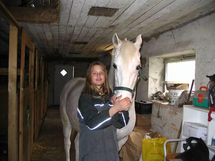 Anden særlig race Daisy billede 5