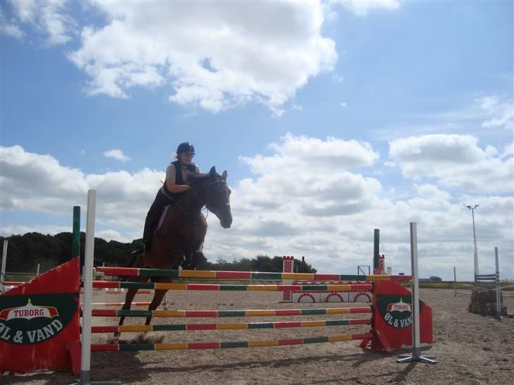 Anden særlig race Loco Caballo - spring d. 12/7 2009 billede 14