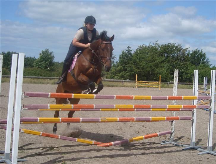 Anden særlig race Loco Caballo - spring d. 12/7 2009 billede 16