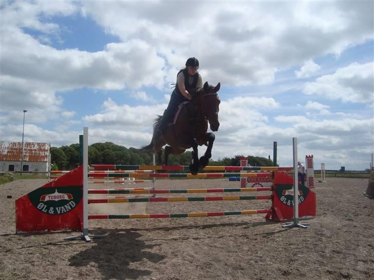 Anden særlig race Loco Caballo - spring d. 12/7 2009 billede 17