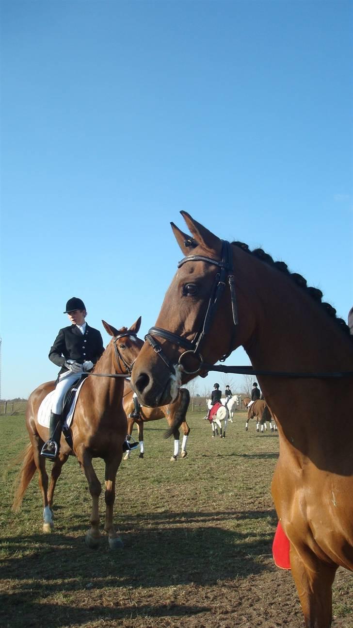 Anden særlig race Kathy<333 - Velkommen til Kathys profil<3 håber du ligger en kommentar & bedømmelse =] billede 1