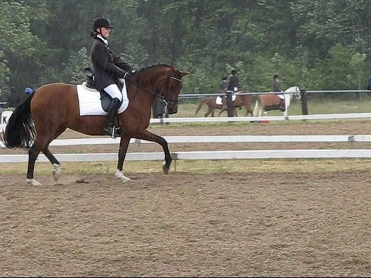 Anden særlig race Kathy<333 - Lykke & Kathy til et stævne <33 billede 2