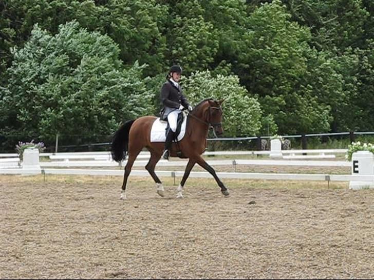 Anden særlig race Kathy<333 - Lykke & kathy! =}<3 billede 3