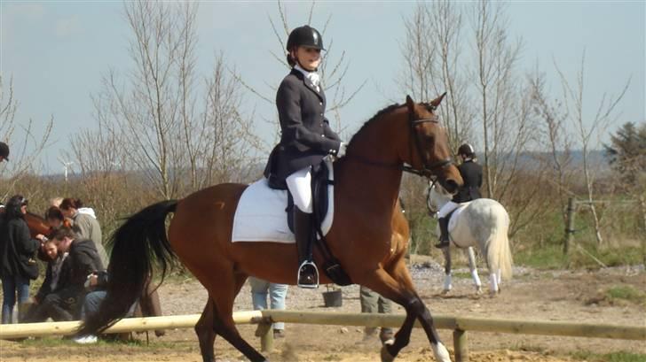 Anden særlig race Kathy<333 - Lykke & Kathy til et stævne <333 billede 5