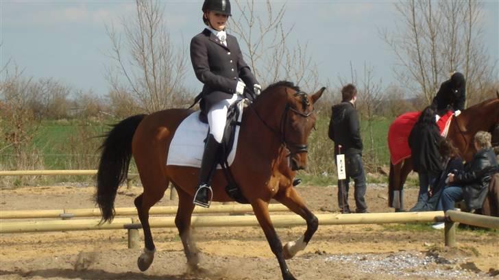 Anden særlig race Kathy<333 - Lykke & kathy ! Kathy du er den bedste<3 billede 6