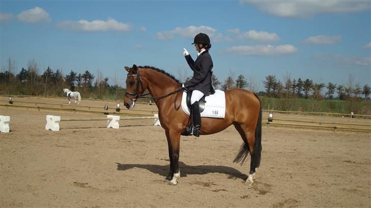 Anden særlig race Kathy<333 - Lykke & kathy! Kathy ser træt ud !! billede 7