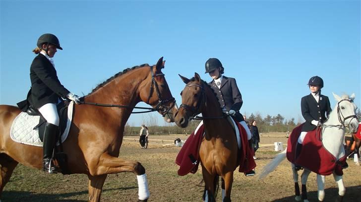 Anden særlig race Kathy<333 - Lykke & Kathy efter et stævne! <33 Kathy skath du er den bedste! <3 billede 8