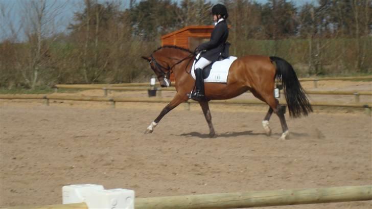 Anden særlig race Kathy<333 - Lykke & Kathy! SUPER!!! billede 9