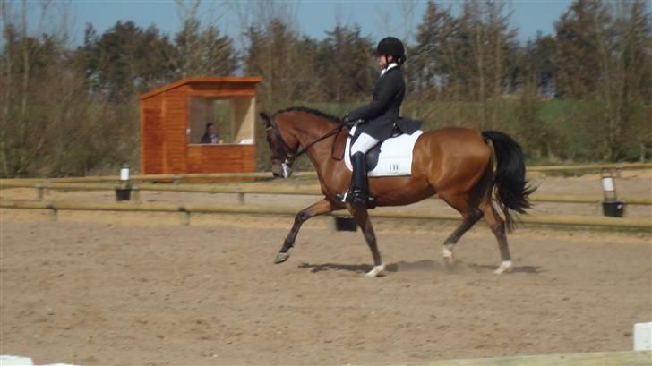 Anden særlig race Kathy<333 - Lykke & kathy! SUPER SUPER <3 =}<3 billede 10